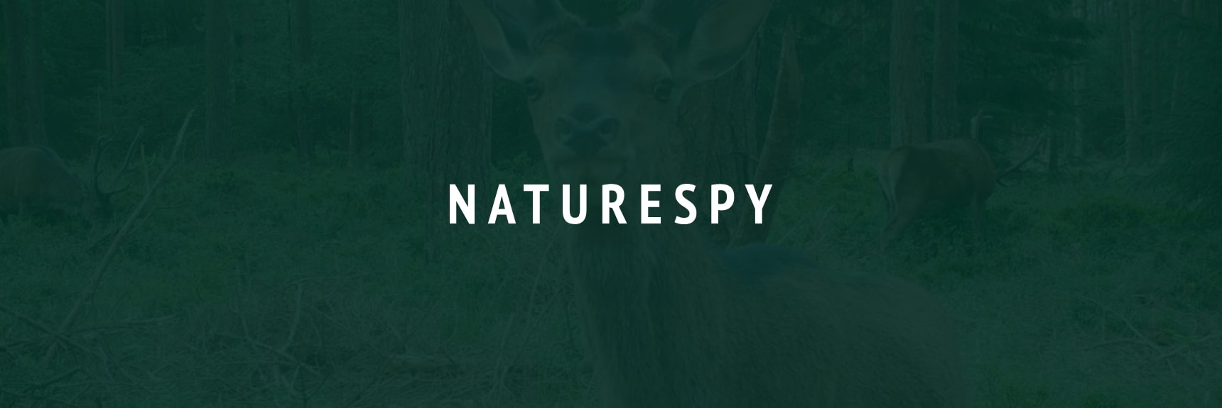 NatureSpy logo
