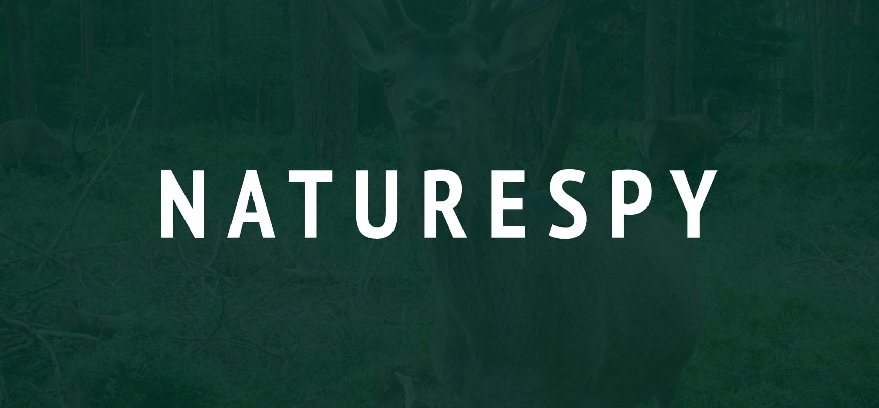 NatureSpy logo